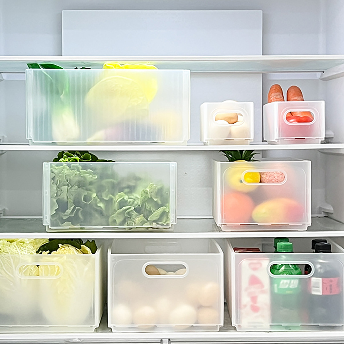 WORTHBUY Plastikowy Składany P – Kitchen Baking Tray Storage recenzja i cena